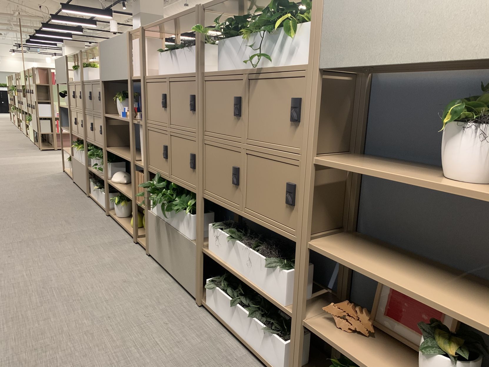 Napa Spaces flexible coworking hub